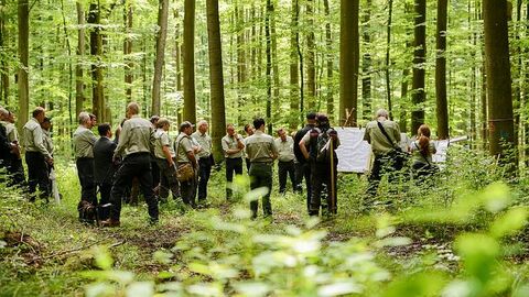 Diskussion der Waldbesitzer im Wald und Moderationswänden mit Ergebnissen