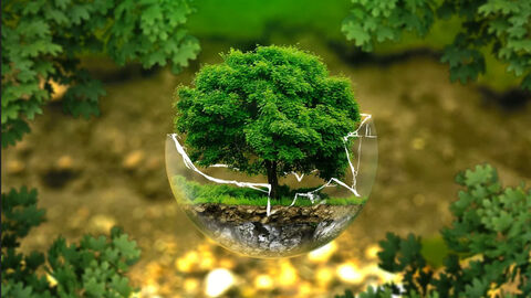 Mini-Wald in einem Glasbecher